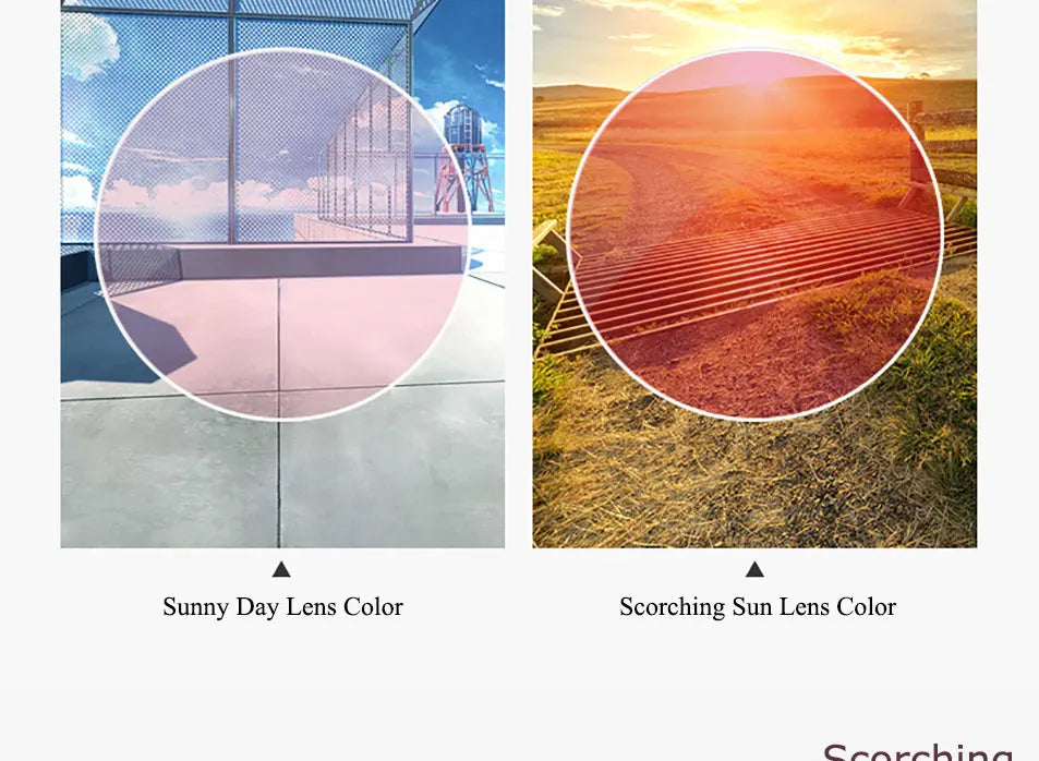 BondiClip – Transition Lenses (Photochromic)